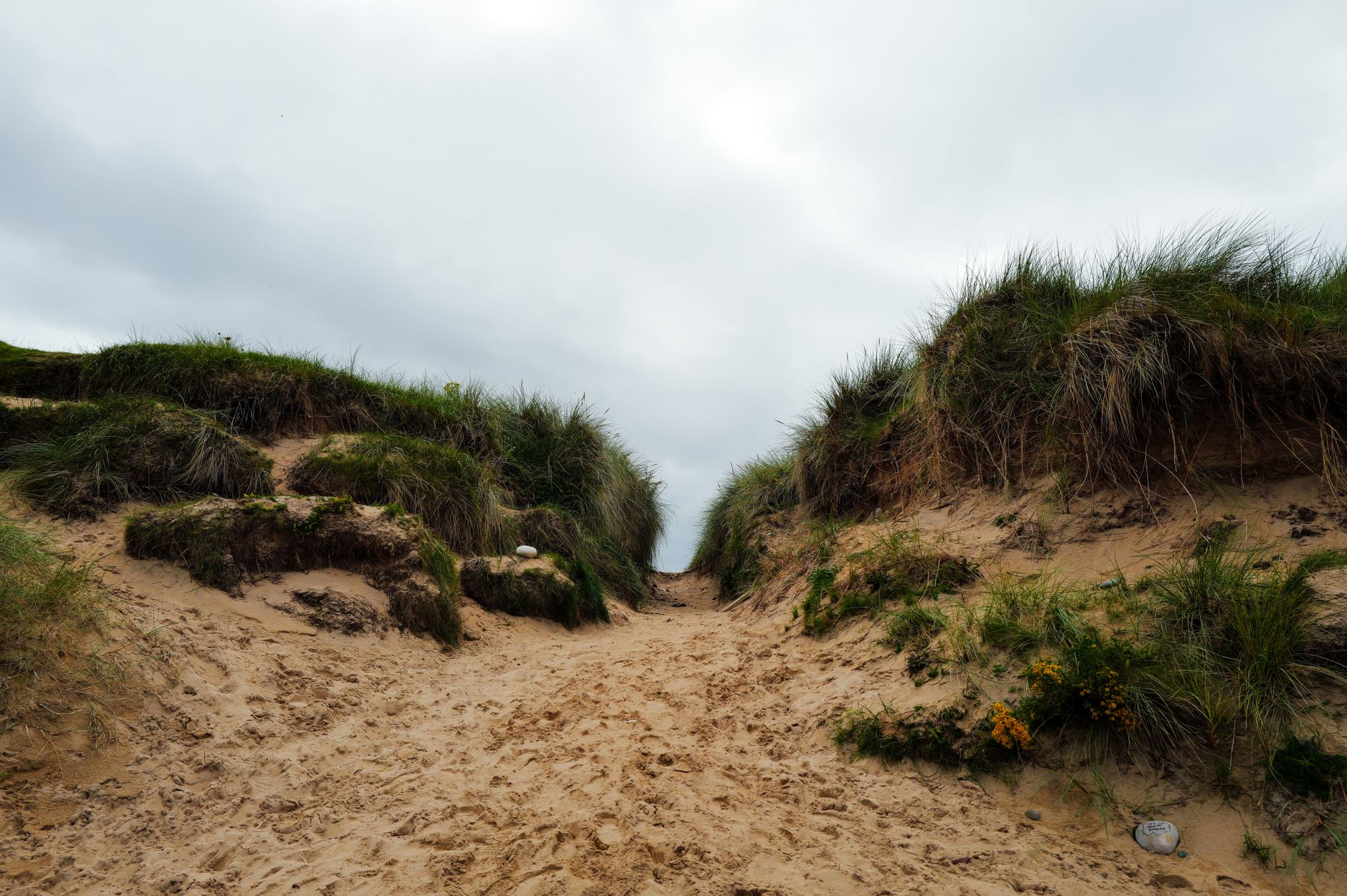 A sandy pathway through grassy dunes above Killahoey Beach, Dunfanaghy
